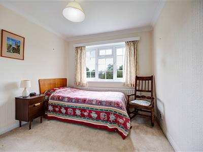 Picture 23